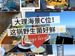 -野菌皇海景野生菌火锅(滨海大道店)