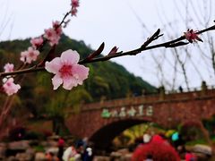 -桃花岭景区