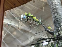 -南宫五洲植物乐园