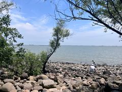 -上海吴淞炮台湾国家湿地公园