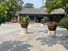 -荣国府