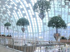 -二刀潮牛(重庆光环购物公园店)