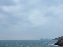 -广东惠东海龟国家级自然保护区