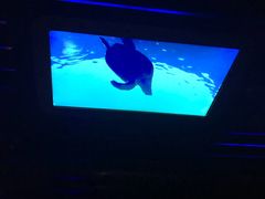 -海洋公园海洋列车－海滨站