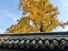 -宝光寺