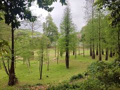-广州市帽峰山景区