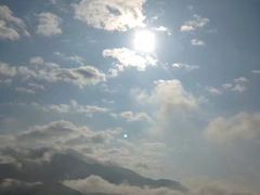 -金盆阿嬷香菇茶叶蛋(玄光店)