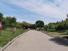 -塘沽森林公园