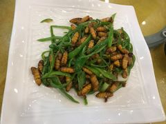-鸿达渔港