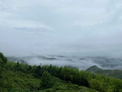 -江南天池