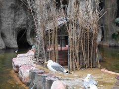 -长鹿旅游休博园
