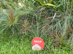 -福田红树林生态公园