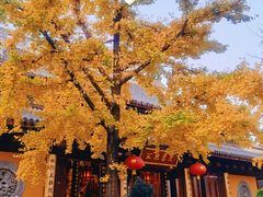 -龙华寺