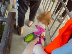 -安吉龙王山峡谷漂流