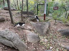 -崂山巨峰游览区