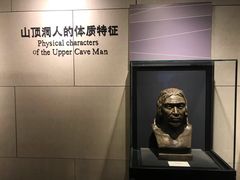 -北京周口店北京人遗址博物馆
