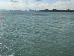 -演武大桥观景平台