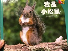 -巧虎乐智小天地(朝阳大悦城店)