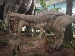 -湖南省地质博物馆