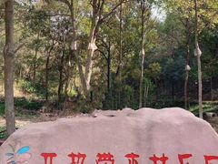 -石燕湖生态旅游景区