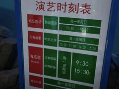 -烟台海昌鲸鲨海洋公园