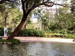 -九龙公园