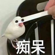 -DQ·蛋糕·冰淇淋(太原街万达店)