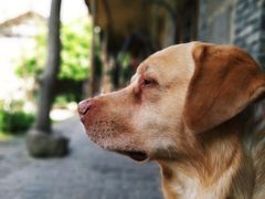 -驿舍·民國老营房院子私房菜(科学会堂店)