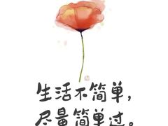 -河间正宗驴肉火烧(听海居店)