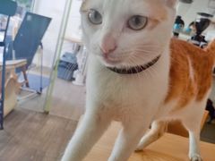 -WATER CAFE(广厦店)