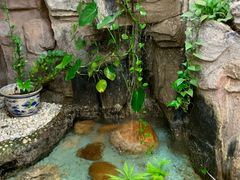 -勝記酒家·37年老字号·经典粤菜(荔枝公园店)