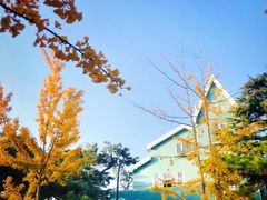 -八大关景区