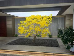 -竺桥兄弟烤鸭馆(竺桥店)