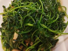 -金苑酒家·客家菜·广东老字号(万象店)