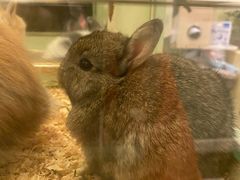 -龙猫仔乐园(惠福东路店)