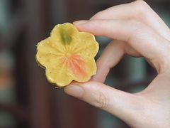 -蟹村草堂·苏式园林人文农家·大闸蟹