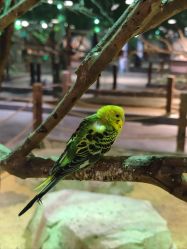 -酷嗒动物文化乐园(cutezoo西溪乐天城店)