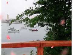 -小麦岛公园