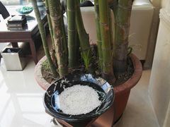 -百姓康洁洗浴中心