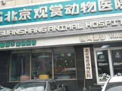-北京观赏动物医院·24小时大型综合·猫专科·异宠专科