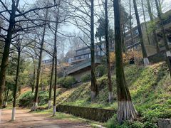 -莫干山风景区