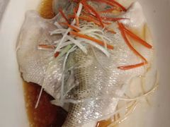 -阿细汉菜(本地盐帮菜名店)