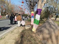 -泗洪洪泽湖湿地景区
