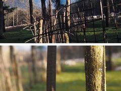 -石棉县孟获城