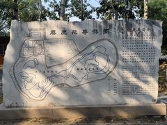 -北京麋鹿生态实验中心