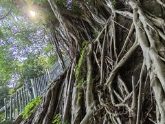 -乌山风景区