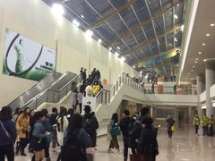 -南京奥林匹克体育中心-体育馆