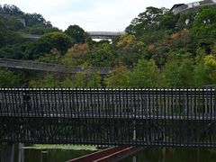 -福道