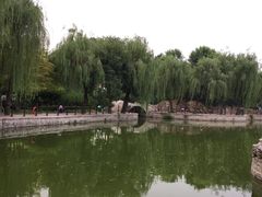 -黄村公园