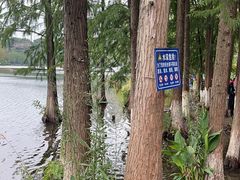 -重庆彩云湖湿地公园